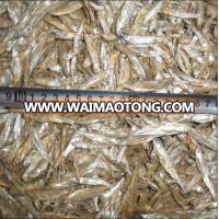 Wholesale dog food dry fish natural pet food